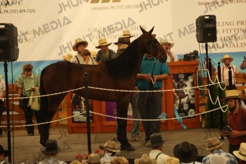 JHM_1039