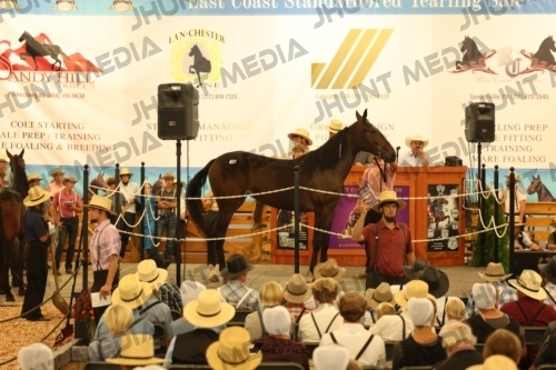 JHM_1044
