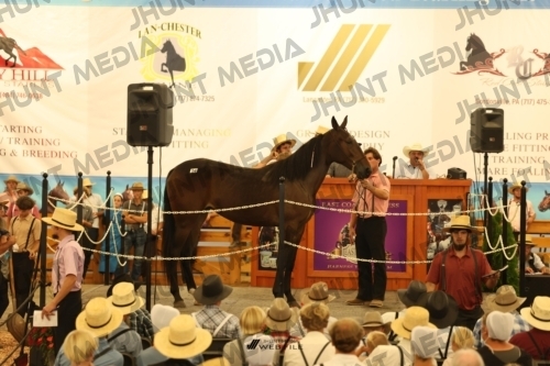JHM_1048