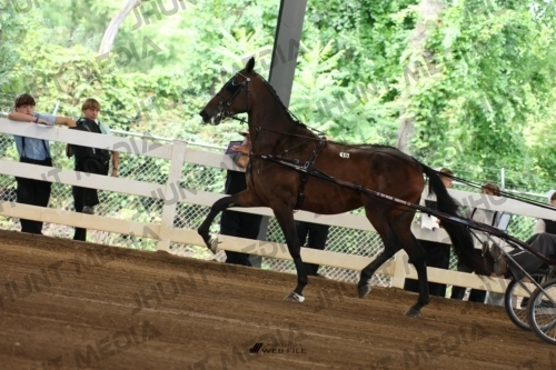 JHM_0104