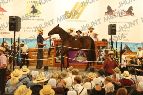 JHM_1054