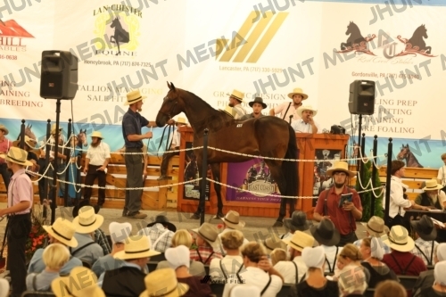 JHM_1055
