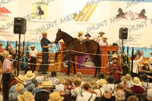 JHM_1056
