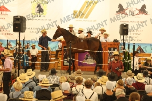 JHM_1057