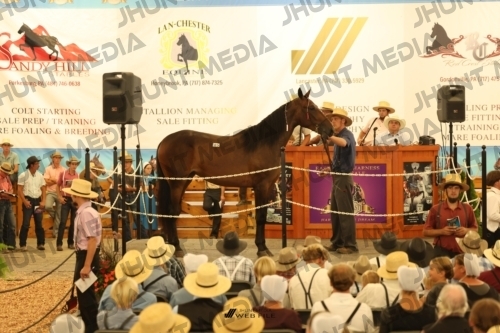 JHM_1059