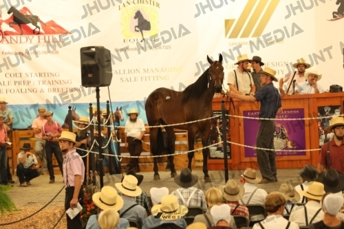 JHM_1061