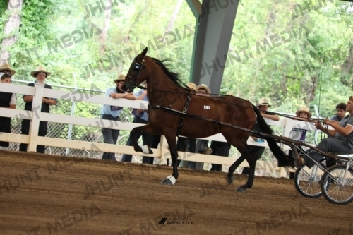 JHM_0154