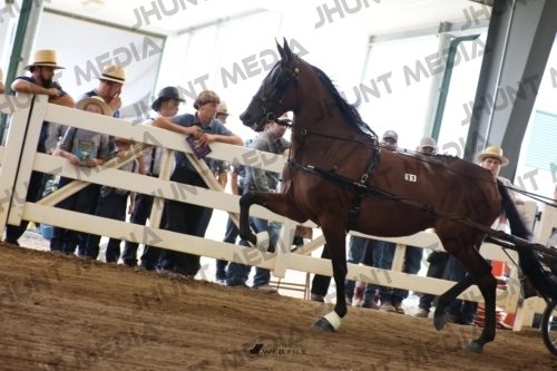 JHM_0160