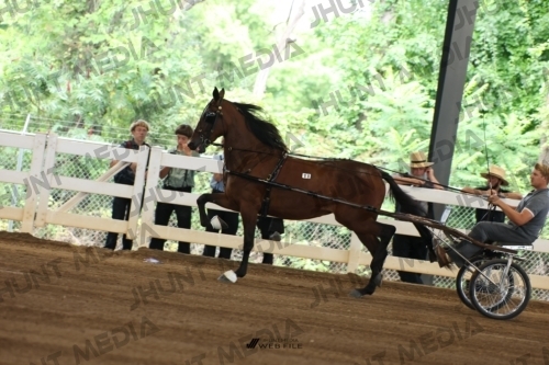 JHM_0169
