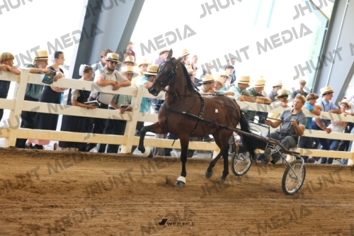 JHM_0733