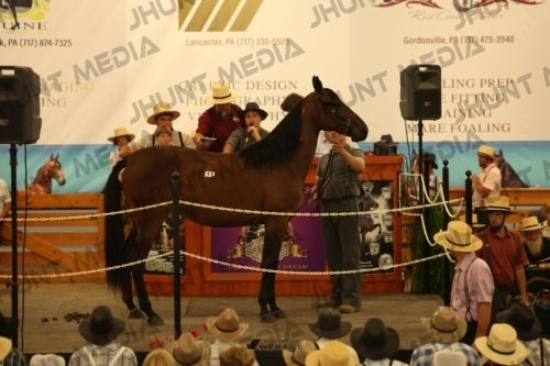 JHM_0979