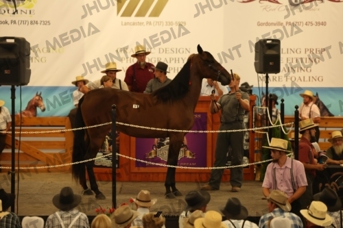 JHM_0982