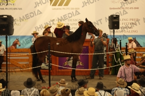 JHM_0983