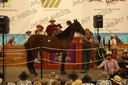 JHM_0984