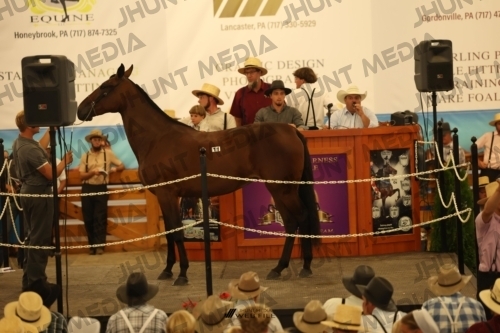 JHM_0986