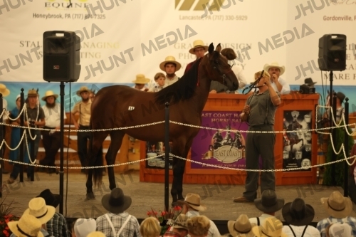 JHM_0988