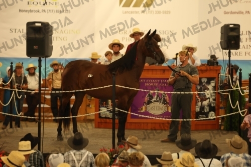JHM_0989
