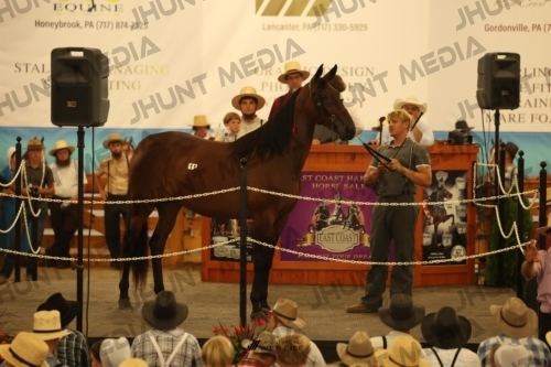 JHM_0990