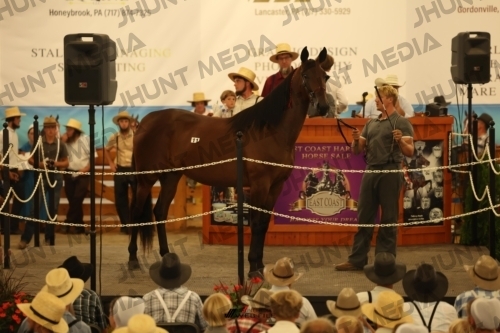 JHM_0993