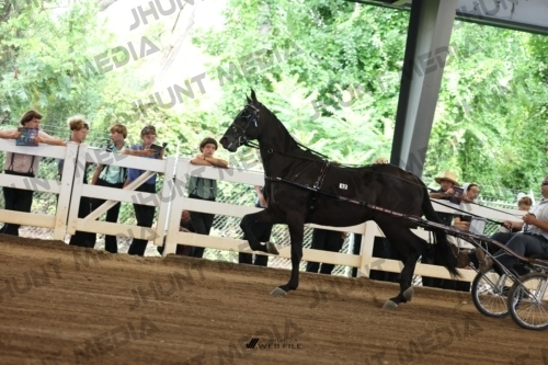 JHM_0382