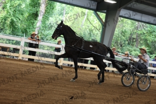 JHM_0628