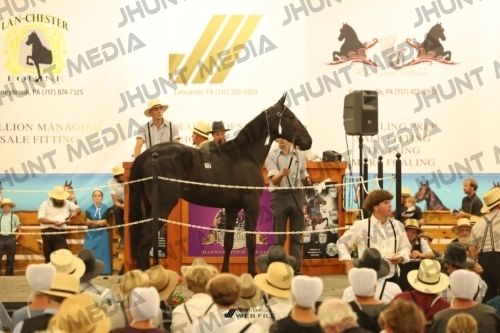 JHM_1716