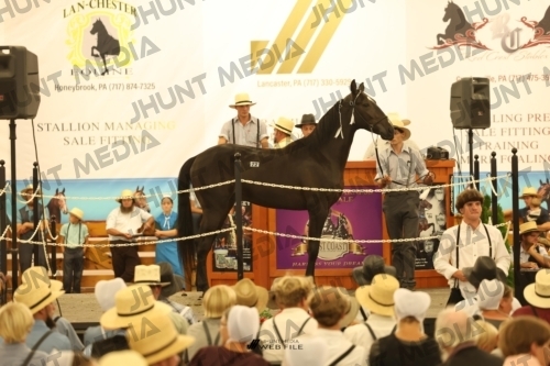 JHM_1717
