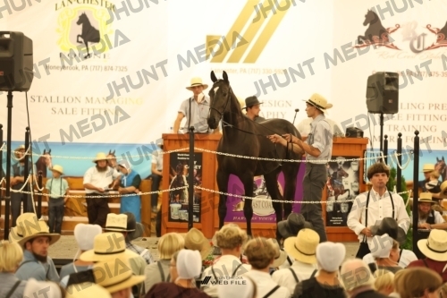 JHM_1718