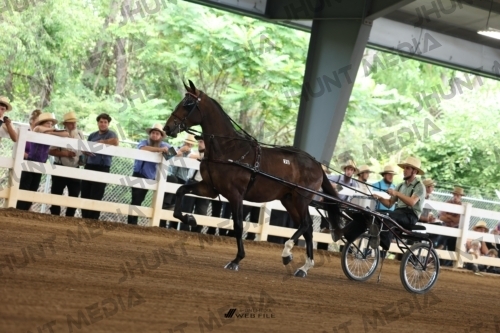 JHM_0279