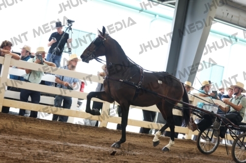 JHM_0285