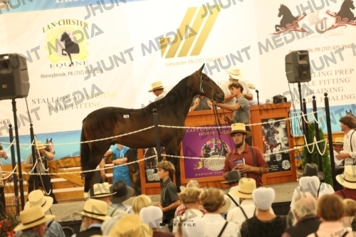 JHM_1689