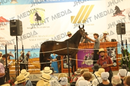 JHM_1690