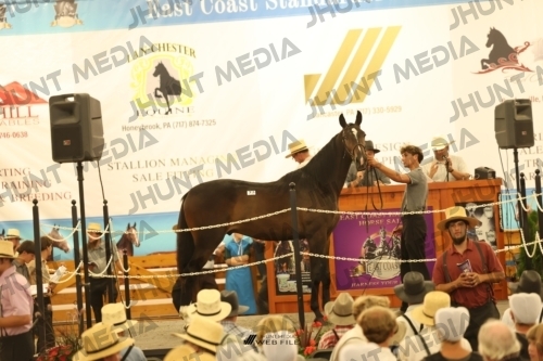 JHM_1691