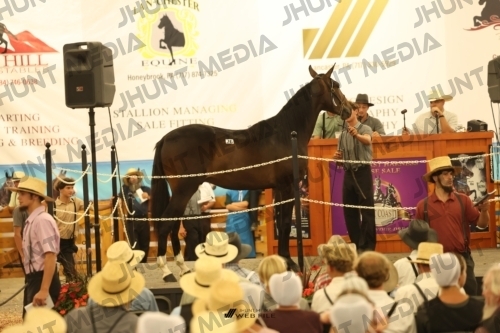 JHM_1692