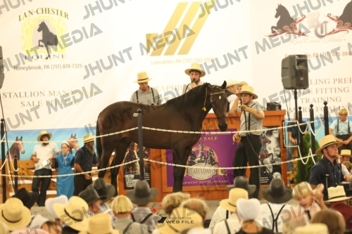 JHM_1443