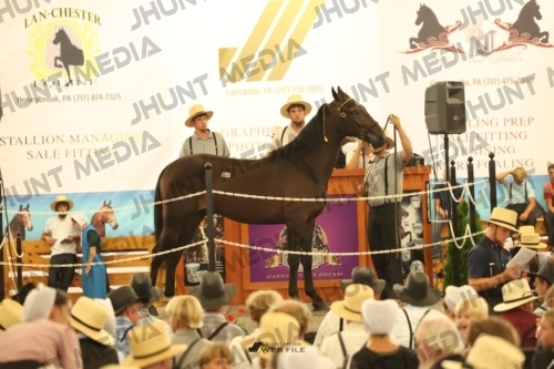 JHM_1445