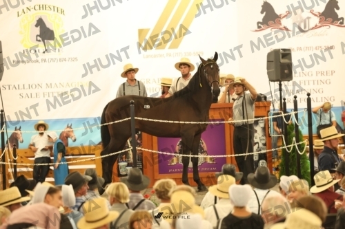 JHM_1446