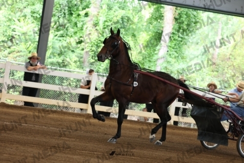 JHM_0064