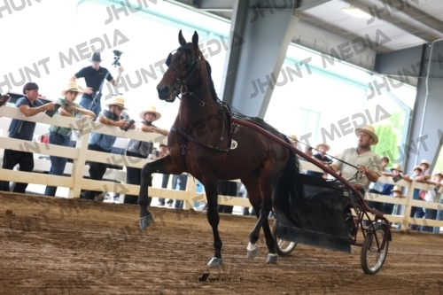 JHM_0068