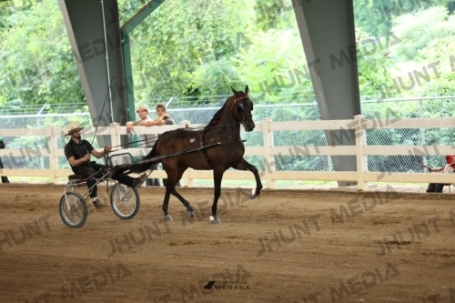 JHM_0740