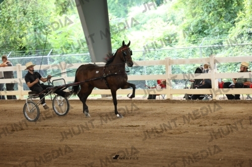 JHM_0741