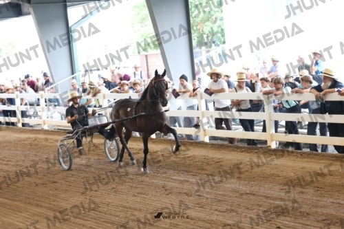 JHM_0746