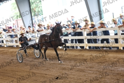 JHM_0747