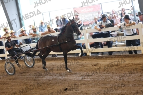 JHM_0749