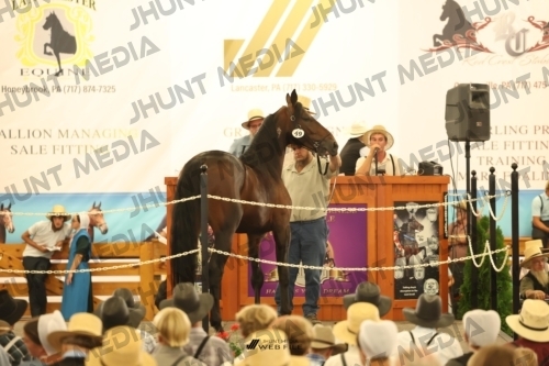 JHM_1436