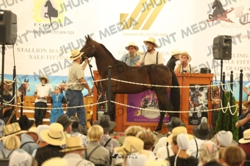 JHM_1437