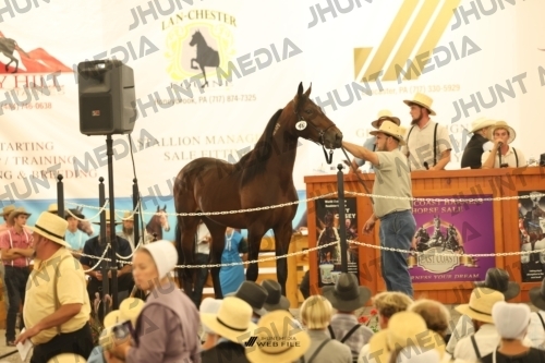 JHM_1438