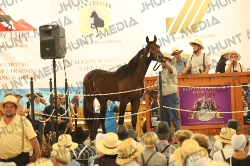 JHM_1439