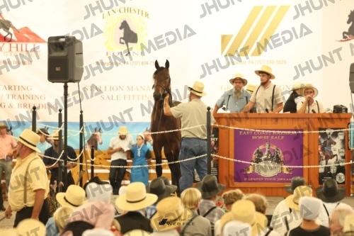 JHM_1442