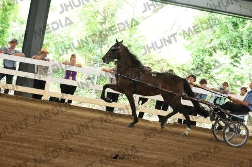 JHM_0344
